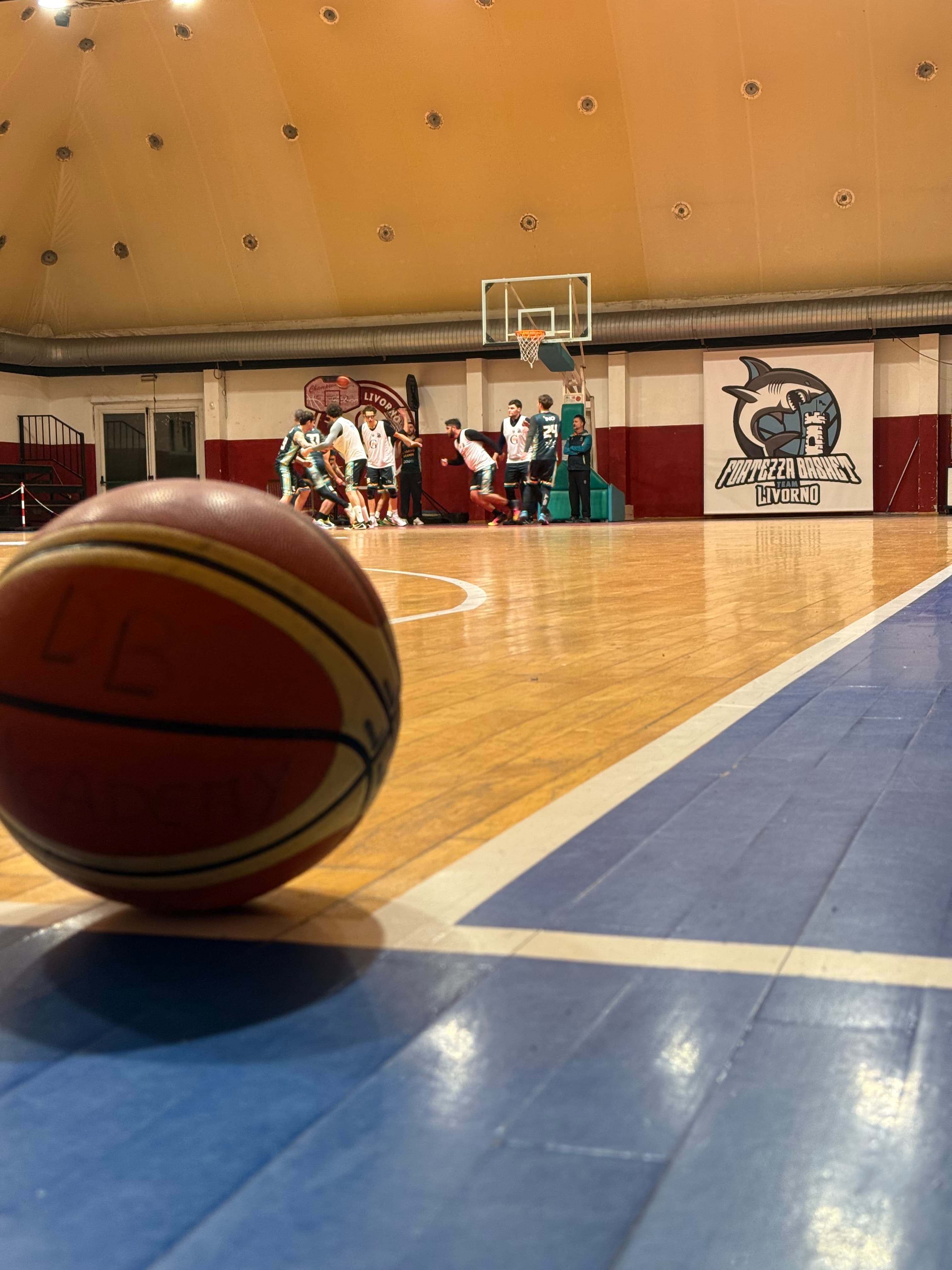 Campo da basket Palestra Gemini - vista 2